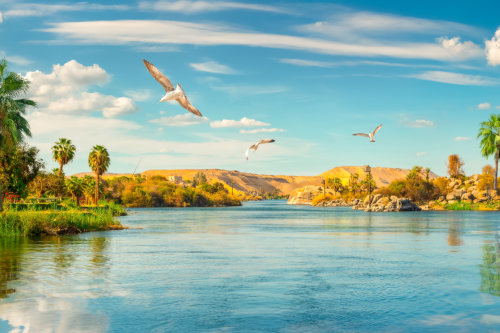 Panorama river Nile and boats at sunset in Aswan